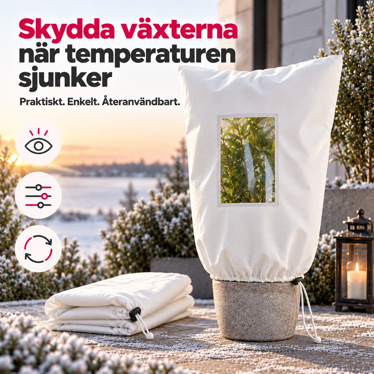 FrostVakt™ – Växtskydd mot frost med visningsfönster | 🎃 Gratis Halloweenpresent
