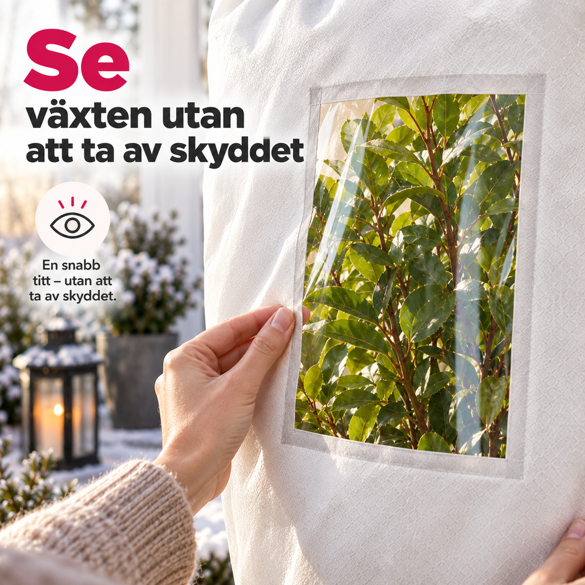 FrostVakt™ – Växtskydd mot frost med visningsfönster | 🎃 Gratis Halloweenpresent